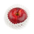 Red apple with foam net protection Royalty Free Stock Photo