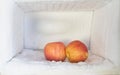 Red apple in freezer of a refrigerator. Ice buildup inside of a Royalty Free Stock Photo