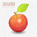 Red apple fruit designs with leaf Royalty Free Stock Photo