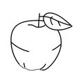 red apple fruit leaf line icon vector illustration Royalty Free Stock Photo