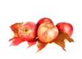 Red apple fruits on autumn leaves isolated on white Royalty Free Stock Photo