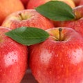 Red apple fruits with leaf