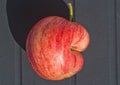 Red apple of funny shape