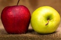 Red Apple and Green Apple