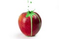 Red apple with green paint splash on top isolated Royalty Free Stock Photo