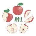 Red apple hand drawn illustration set with lettering, isolated on white background.