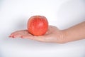 Red apple Royalty Free Stock Photo