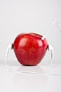 Apple with headphones Royalty Free Stock Photo