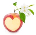 Red apple heart with leaves and flowers