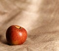 Red apple on hessian cloth