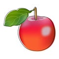 Red apple leaf fresh, illustration, nature, drawing, food Royalty Free Stock Photo