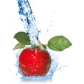 Red apple with leaves and water splash isolated Royalty Free Stock Photo