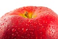 Red apple, macro Royalty Free Stock Photo