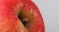 Red apple, macro Royalty Free Stock Photo