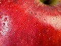 Red apple macro Royalty Free Stock Photo