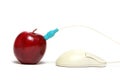 Red apple and mouse cable connection Royalty Free Stock Photo