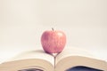 Red apple on an open book in vintage tone Royalty Free Stock Photo