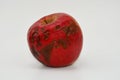 Red apple with parasite