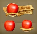 Red apple, retro vector icons