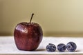 Red Apple and a row of blueberries on a white table cloth Royalty Free Stock Photo