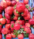 Red apple selling in fruits market, Healthy food, organic fruit, street vendors kolkata Royalty Free Stock Photo