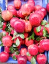 Red apple selling in fruits market, Healthy food, organic fruit, street vendors kolkata Royalty Free Stock Photo