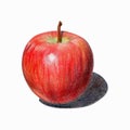 Red apple with shadow. Isolated fruit drawn with colored pencils.