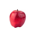 Red apple side view on white background isolated close up macro Royalty Free Stock Photo