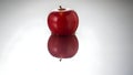 Red apple silhouette with reflection Royalty Free Stock Photo
