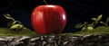 A red apple sitting on a mossy rock, AI