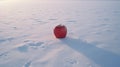 Lonely Red Apple On Snowfield: Leica M6 Style With Soft Romantic Scenes