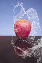 Red apple with splashing water on a black and blue background Royalty Free Stock Photo