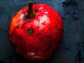 Red Apple with Spots on Blue Background Royalty Free Stock Photo