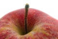 Red apple stem on white background Royalty Free Stock Photo