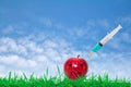 Red apple and syringes