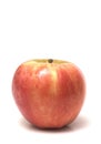 Apfel 