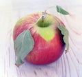 Red apple with three dried leaves macro Royalty Free Stock Photo