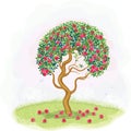 Red apple tree Royalty Free Stock Photo