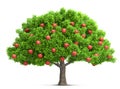 Red apple tree isolated 3D illustration Royalty Free Stock Photo