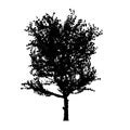 Red apple tree silhouette Royalty Free Stock Photo
