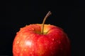 Red apple with water drops on a black background close-up Royalty Free Stock Photo