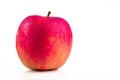 A red apple with water drops on skin on white background with copy space. Healthy fruit and healthy food concept. Vegan Royalty Free Stock Photo