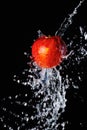Red apple and water splash Royalty Free Stock Photo