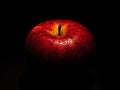 Red apple with waterdrops on it in shadow against black background Royalty Free Stock Photo