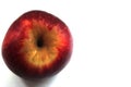 Red Apple on a white background Royalty Free Stock Photo