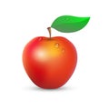 Red Apple on a white background