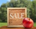 Red apple with wooden frame Royalty Free Stock Photo