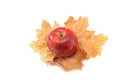 Red apple on yellow autumn leaves on a white background Royalty Free Stock Photo