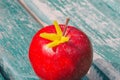 Red apple with yellow flower Royalty Free Stock Photo