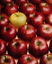 Red apples